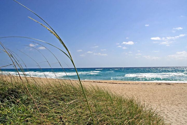 Casa Costa 308s Studio Pools, Jacuzzi, Beach, Shops & Dog Friendly