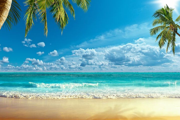 Beach 340 of 412