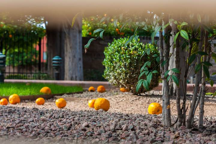 Embassy Suites by Hilton Tucson East