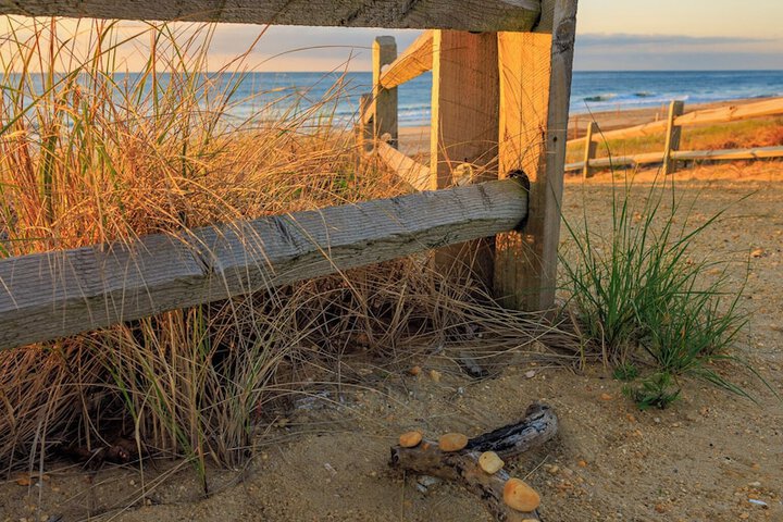 Beach 72 of 90