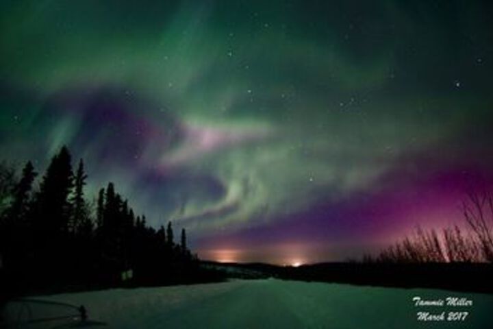 Fairbanks Moose Manor B & B