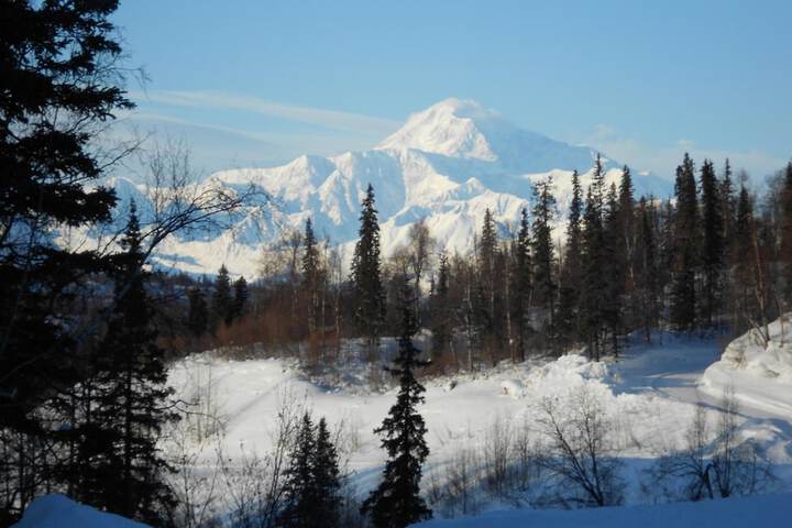 Denali Primrose B & B