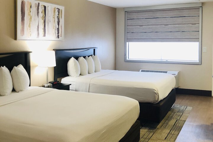 Room 31 of 42