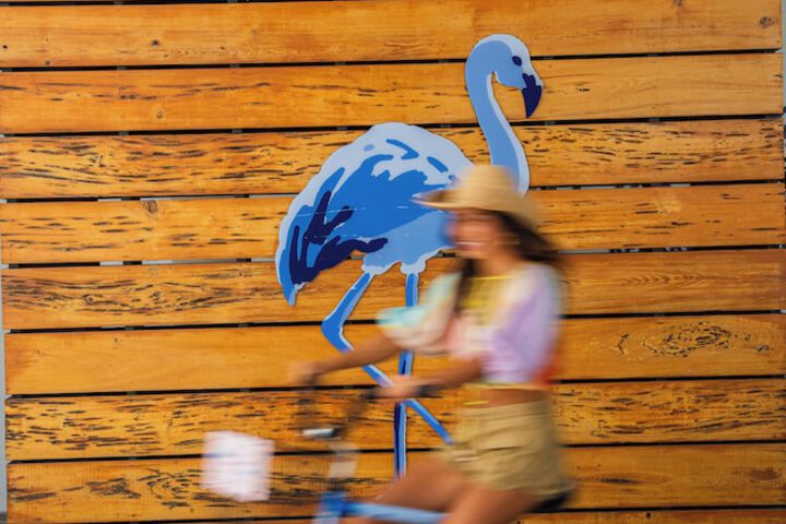 Blue Flamingo Resort Key West