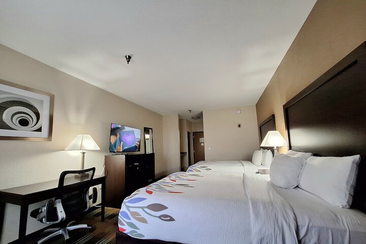 Room 26 of 34
