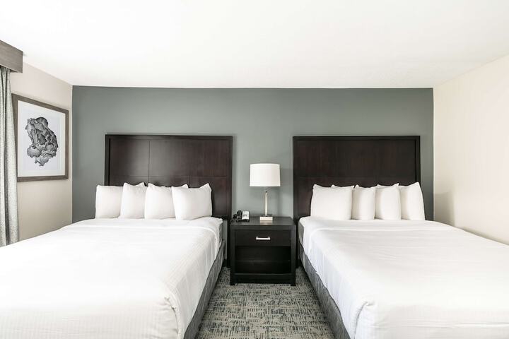 Room 29 of 43