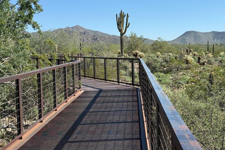 Hilton Scottsdale Resort & Villas