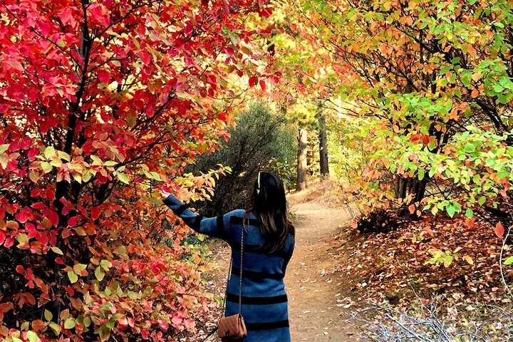 Lake Arrowhead Resort and Spa