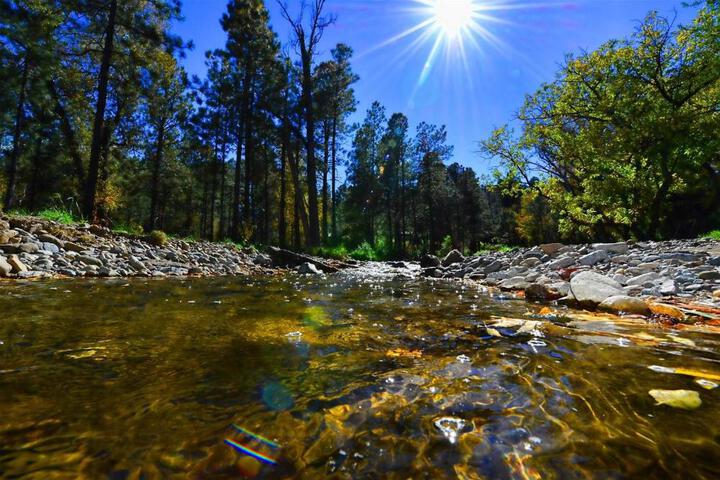 Rivers Edge Cabin