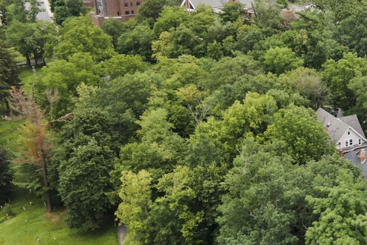 Property Grounds 29 of 31