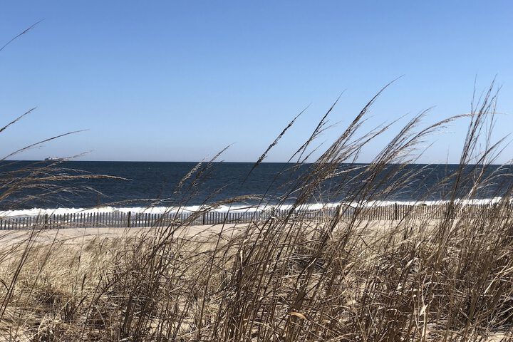 Beach View Hotel