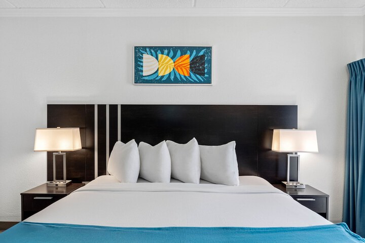 OASIS BAY SUITES Tampa, Busch Gardens, USF