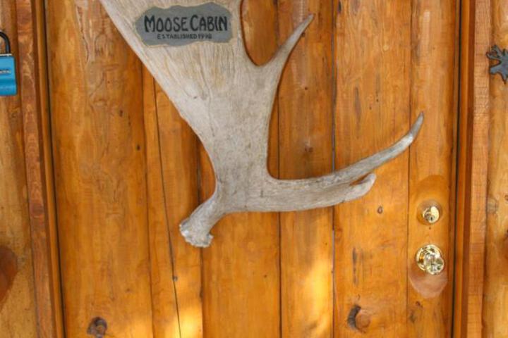 Moose Cabin