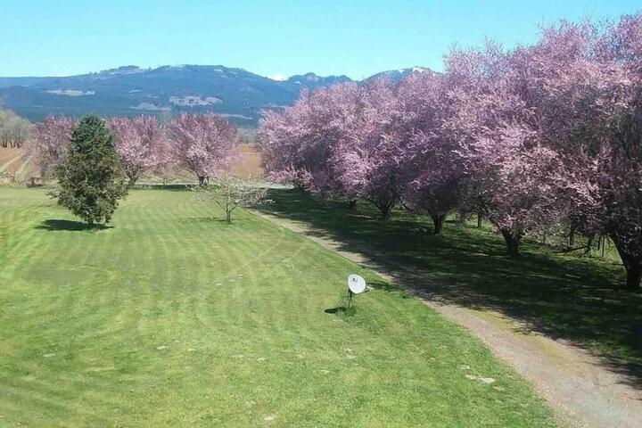 Riverfront Getaway on the Wild and Scenic