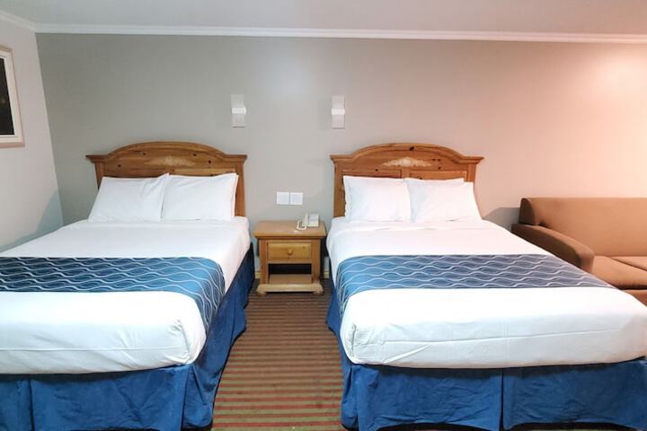 Room 137 of 181