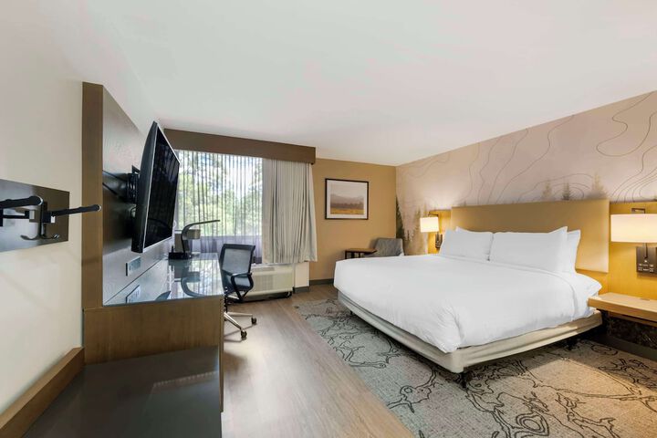 Room 15 of 32