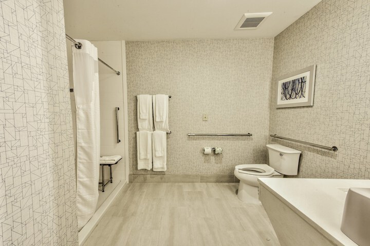 Holiday Inn Express & Suites Dallas NW - Farmers Branch by IHG