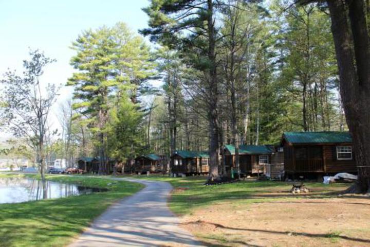 Alpine Lake Lakefront Cabin 7