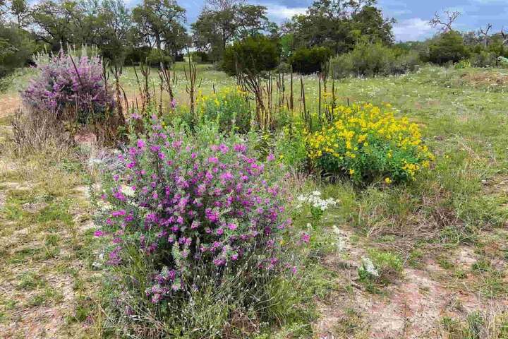 CRC Ranch Retreat