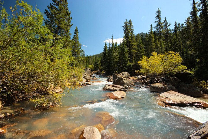 Settlers Creek 6523