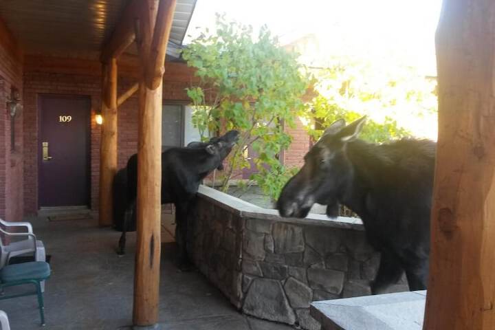 Sundance Motel