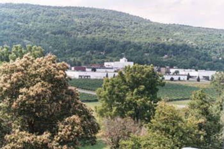 Monier Manor