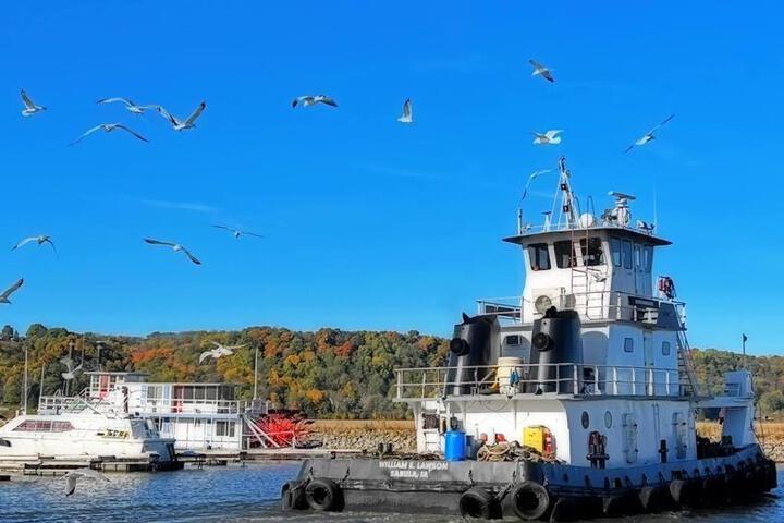 Seagull Bungalow in the Harbor