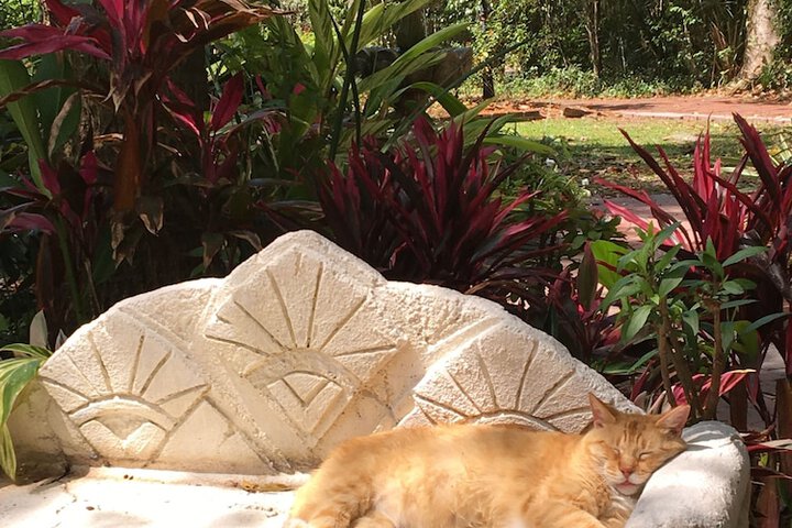 Pet Friendly 205 of 206