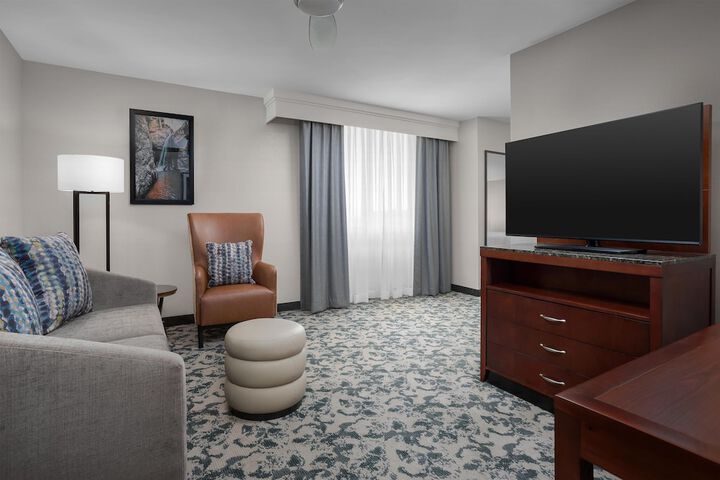 Hilton Garden Inn Denver Downtown