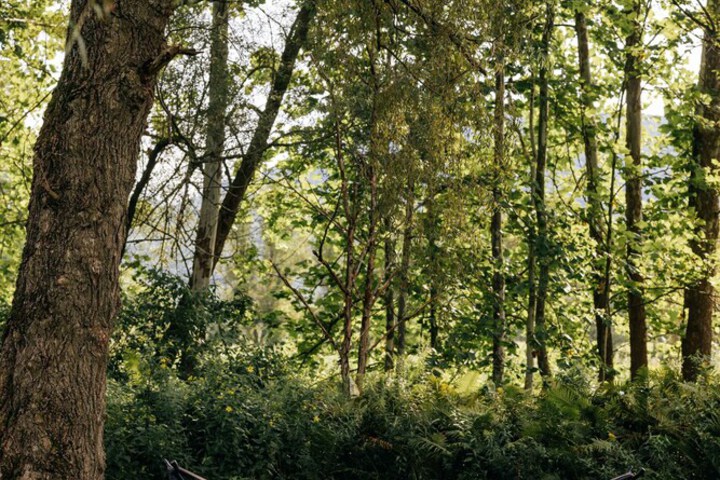 Battenkill Glamping Resort