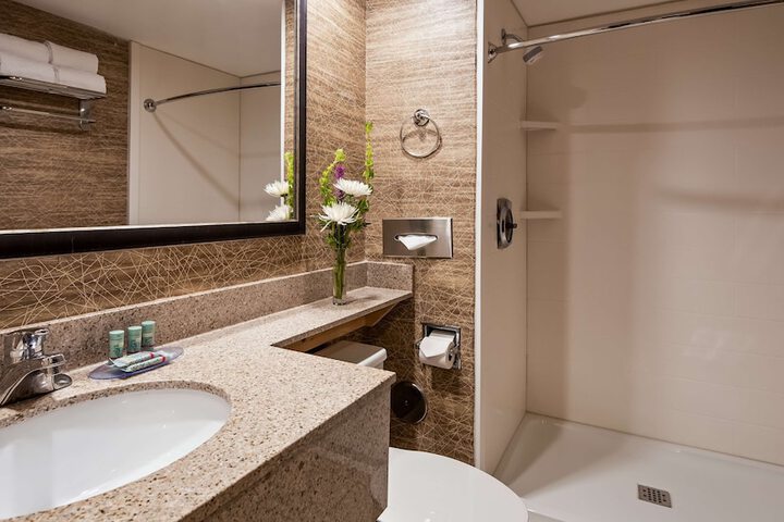 Best Western Detroit Livonia