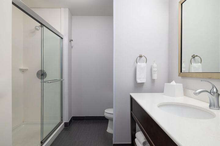 Hampton Inn & Suites Roanoke-Downtown