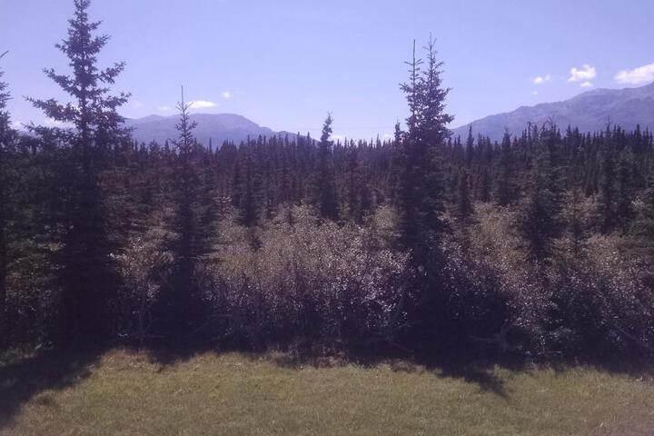 Denalis Alaskan Spruce Cabins