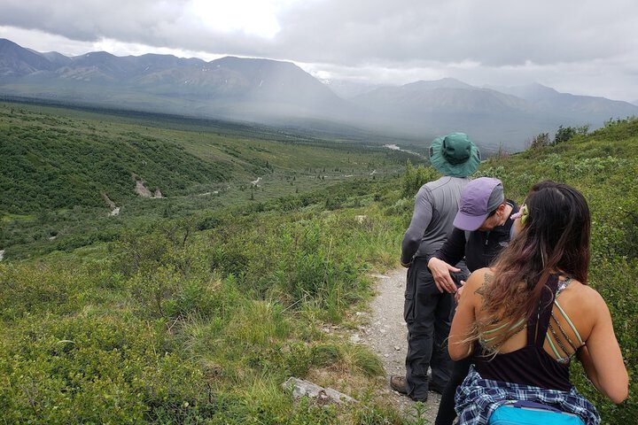 Denali Wild Stay