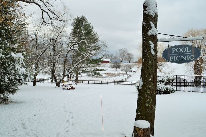 Maple Terrace Motel