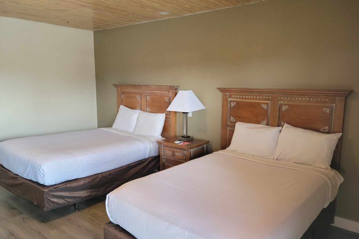 Econo Lodge Springerville