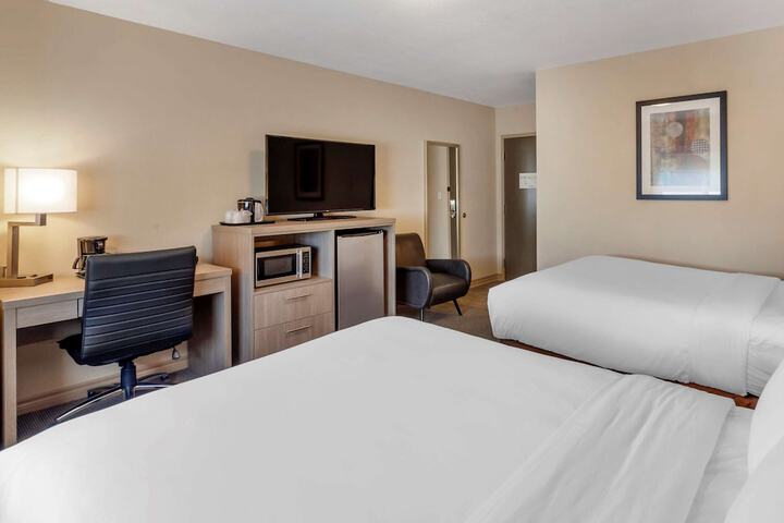 Room 46 of 52