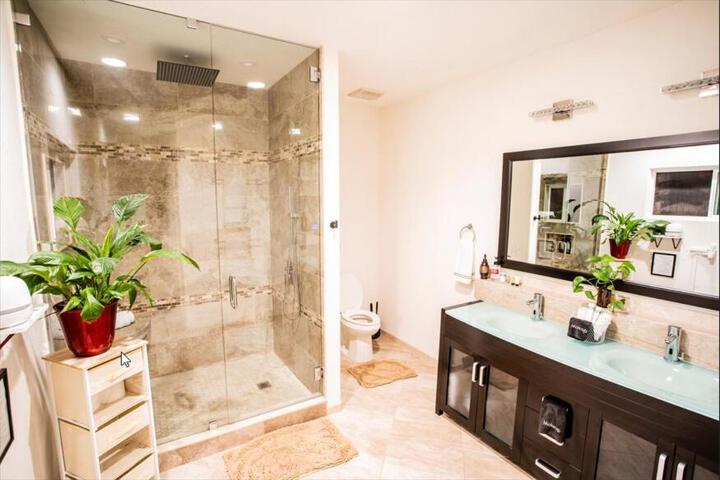 Buena Creek Vista Primary Subdivided Home with Views and Pool