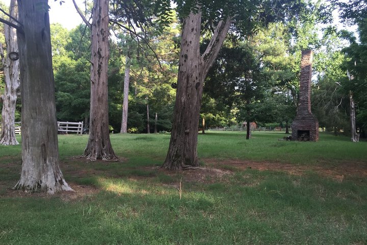 Property Grounds 53 of 58