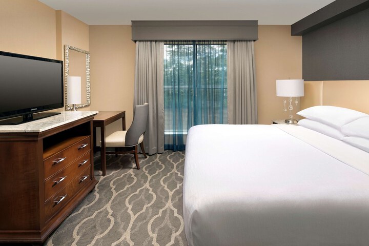 Embassy Suites by Hilton Atlanta Airport