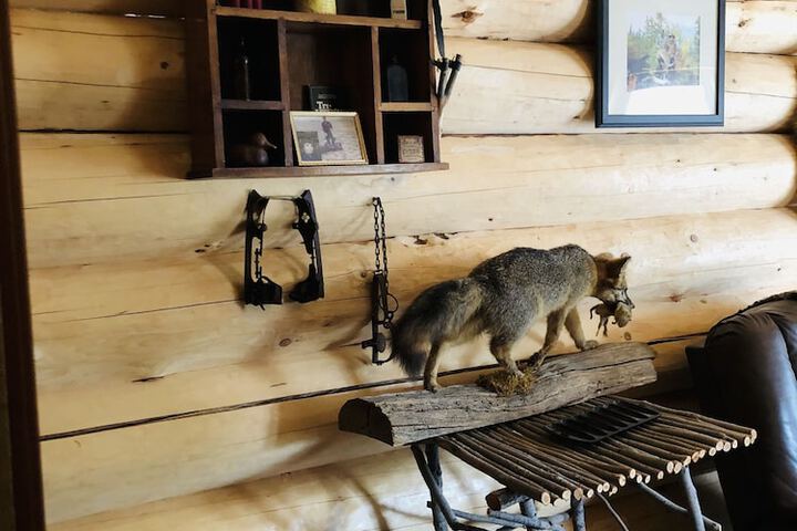 Wrangell Mountain Lodge