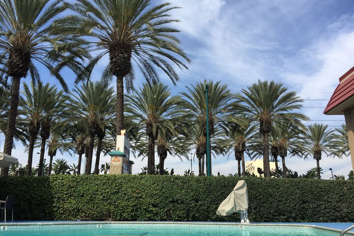 Pool 6 of 131