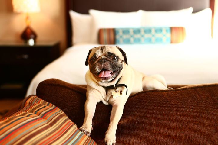 Staybridge Suites Chicago - Glenview by IHG