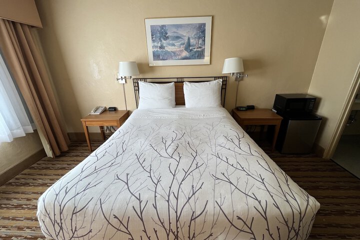 Room 12 of 49
