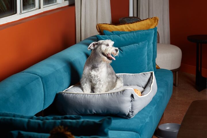 Pet Friendly 127 of 130