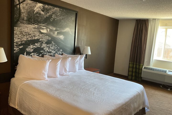 Room 12 of 17