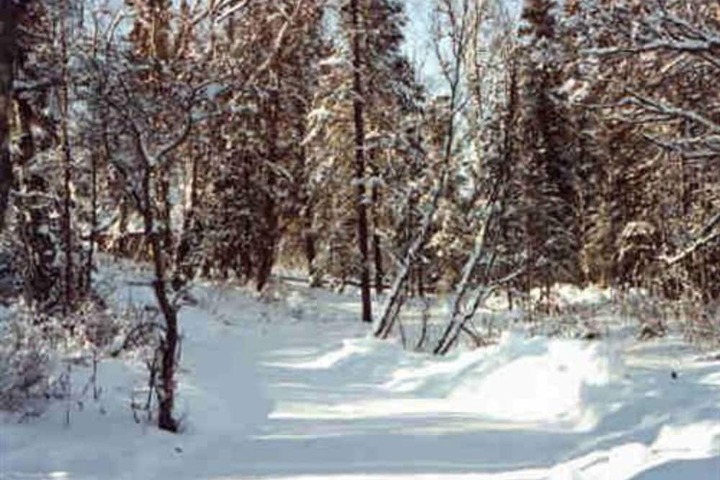 Daniels Lake Lodge B & B