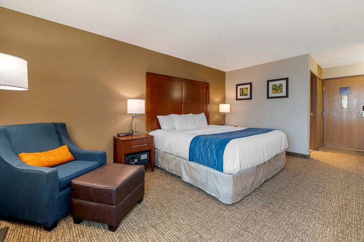 Comfort Inn Anderson South