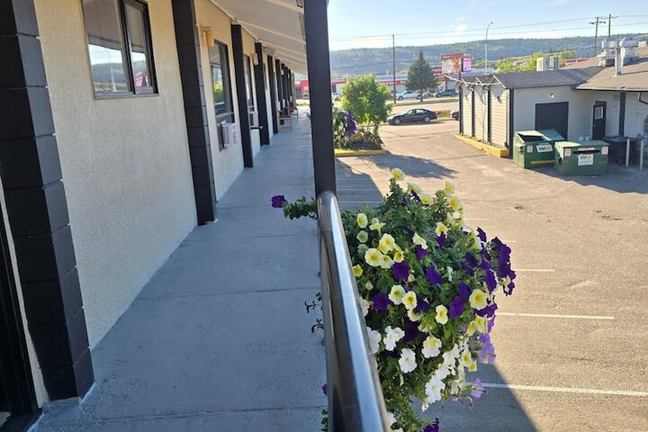 Camelot Court Motel