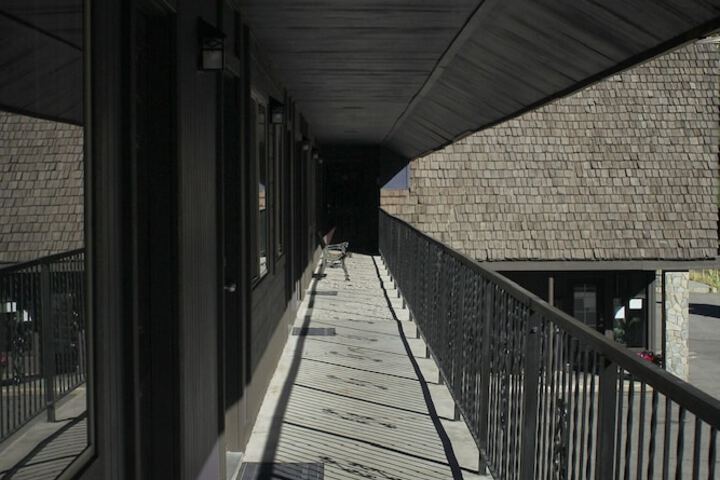 Whispering Pines